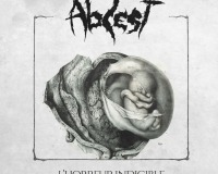Abcest