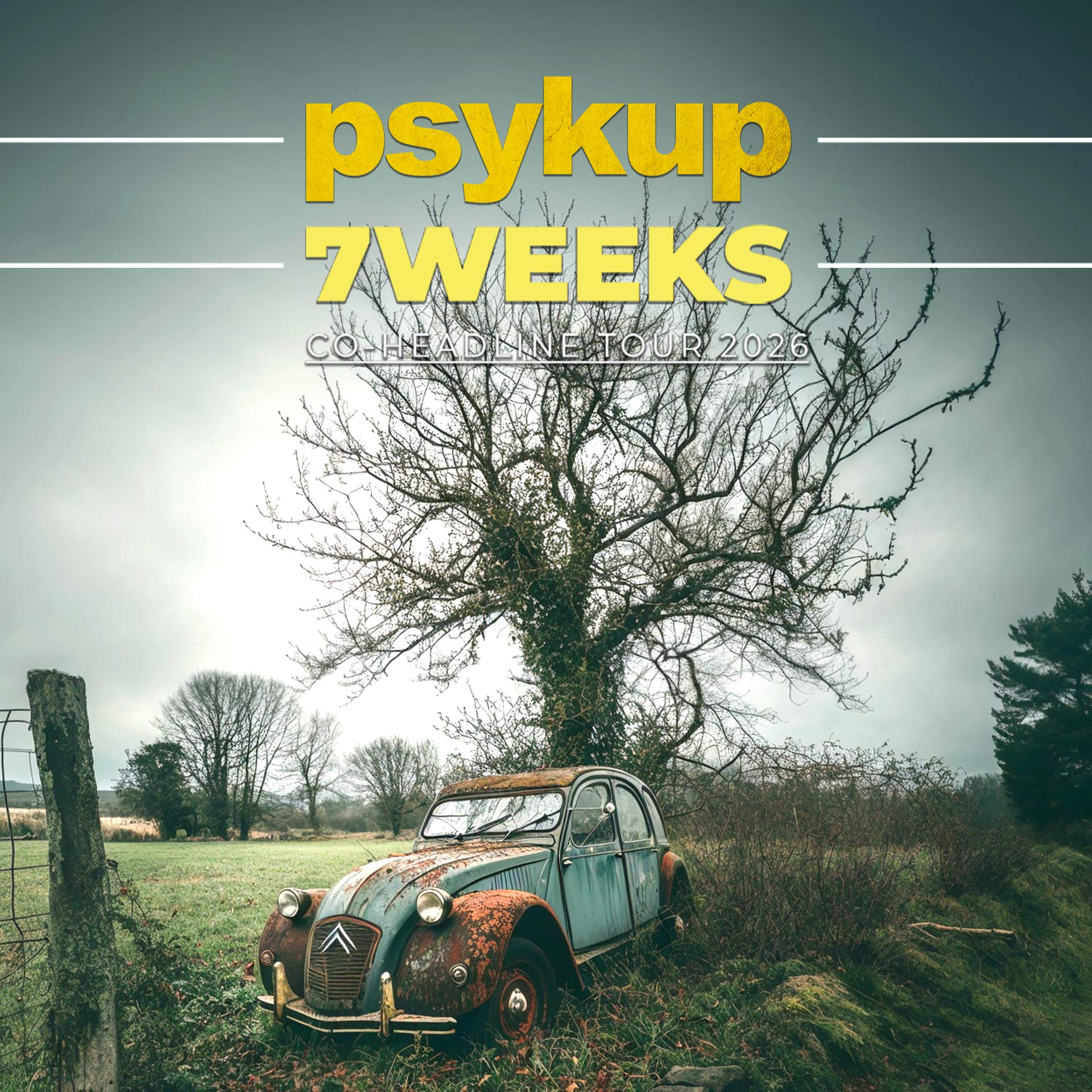 Psykup – 7weeks