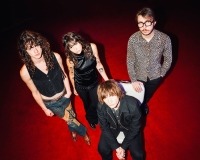 Dynamite Shakers